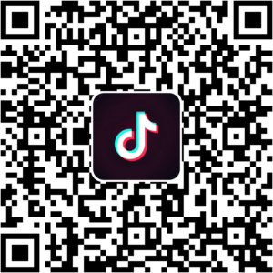 抖音小程序